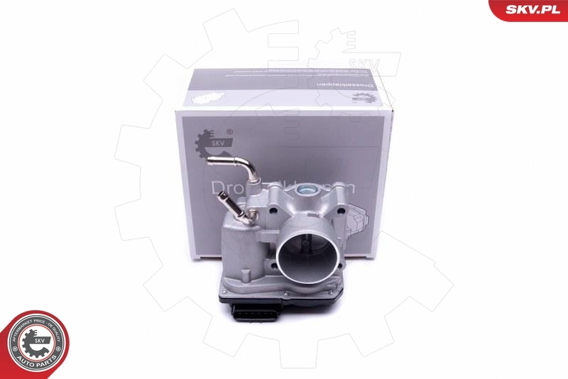 Throttle Body